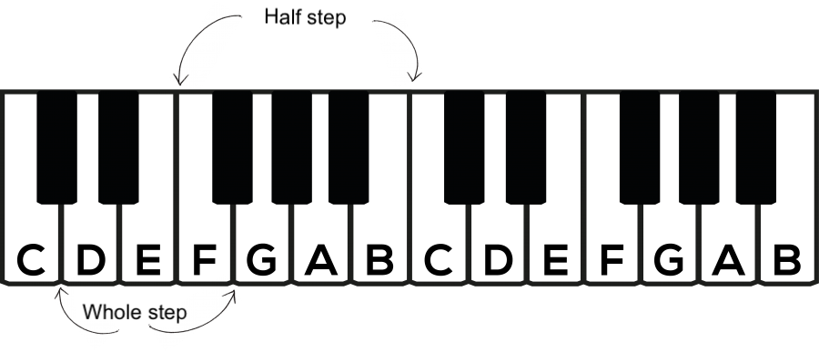Piano keys with whole and half steps